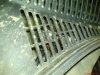 DSC09203.jpg