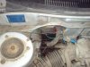 DSC06612.jpg