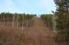 DSC07288.jpg
