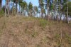 DSC07290.jpg