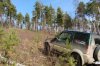 DSC07296.jpg