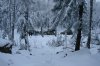 DSC07415.JPG