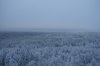 DSC07423.JPG