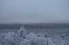 DSC07424.JPG