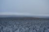 DSC07427.JPG