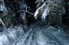 DSC07468.JPG