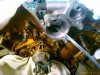 200811291314_00355.jpg
