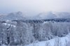 DSC00246-2.jpg