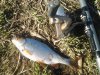 IMG-20140417-WA0003.jpg