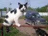 20140515_092618.jpg