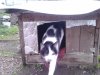 20140505_204837.jpg