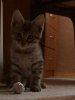 DSC00638.JPG