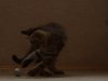 DSC00632.JPG