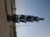 tmp_20140517_170242-574683806.jpg