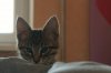 DSC00659.JPG