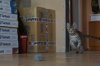 DSC00680.JPG