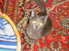DSCN2293.JPG