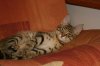 DSC01260.JPG