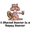 A-Shaved-Beaver-is-a-Happy-Beaver.png