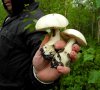 DSCN6385.JPG