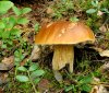 DSCN6405.JPG