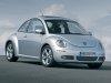 Beetle2.jpg