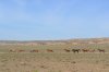 DSC_4715.JPG