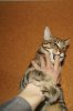 DSC01677.JPG