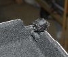 PC057437_1.JPG