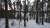 DSC00834.JPG