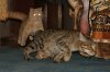 DSC01817.JPG