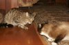 DSC01777.JPG