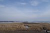DSC08973 .JPG