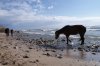 DSC09337.JPG