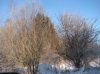 IMG_3630_1_1.jpg
