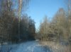 IMG_3631_1_1.jpg