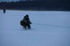 DSC08134.jpg