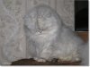 sized_IMG_0032.JPG