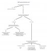Chart-1.jpg