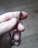 20150303091155.jpg