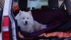 DSC09150.JPG