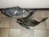 DSCN5431.JPG
