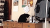 1433174782_2047475716.gif