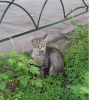 Снимок экрана 2015-06-04 в 9.30.57.png