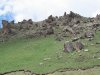 IMG_0503.JPG