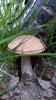 20150606_203523.jpg