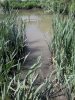 20150613_121211.jpg