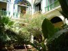 DSC00117.JPG