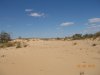 DSCN0041.JPG