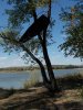 DSCN0043.JPG
